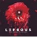 Tall Poppy Syndrome