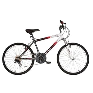 Mantis Raptor Boys 24- Inch Bike, White/Black