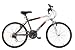 Mantis Raptor Boys 24- Inch Bike, White/Black