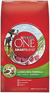 Purina ONE SmartBlend Dry Dog Food, Lamb & Rice Formula, 31.1-Pound Bag, Pack of 1