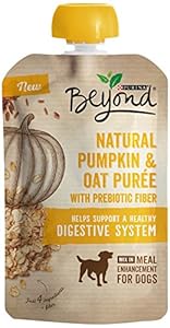 Purina Beyond Natural Wet Dog Food, Pumpkin & Oat Puree, 3.2-Ounce Pouch, Pack of 1