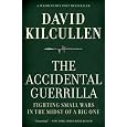 The Accidental Guerrilla: Fighting Small Wars in the Midst of a Big One