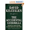 The Accidental Guerrilla: Fighting Small Wars in the Midst of a Big One