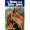 Favorite Horse Books