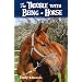Favorite Horse Books
