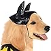 DC Comics Superheroes: Batgirl Pet Costume for Dogs or Cats by Rubies, Small