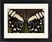 Framed Prints of Sammamish, Washington from Danita Delimont