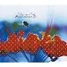 L'Arc�`en�`Ciel Singles History (2/2)