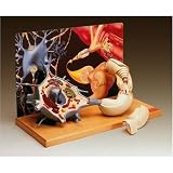 Motor Neuron Diorama