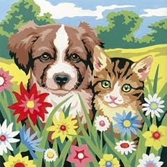 Mammut A30PBNS1 - Malen nach Zahlen AFL Hund und Katze 28 x 30 cm