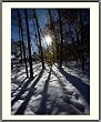 Sun Casts Shadows Through the Trees at Snowy Great Falls, Virginia - Evocative - approx. 22"x26" Framed and Matted - 7/8" Rounded, Shiny, Black Metal Frame - Photographic Print by Brendan Reals
