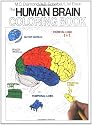 The Human Brain Colouring Book (Coloring Concepts Series)