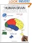 The Human Brain Coloring Book (Cos, 306)