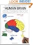 Human Brain Coloring Book
