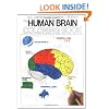 The Human Brain Colouring Book (Coloring Concepts Series)