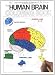 The
Human
Brain
Colouring
Book
(Coloring
Concepts
Series)