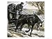 Horses Were Underfed and Overworked Art Giclee Poster Print by C.l. Doughty, 24x18