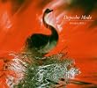 Speak And Spell (CD+DVD)