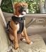 Solvit 62296 Pet Vehicle Safety Harness, Large