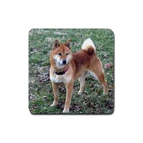 Shiba Inu Rubber Square Coaster (4 pack) by Good Guy Watches & Accessories