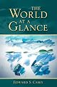 The World at a Glance (Studies in Continental Thought)