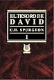 Tesoro de David Volumen I (Spanish Edition)