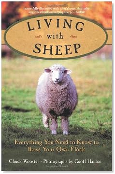 Sheep