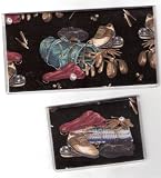 Checkbook Cover Debit Set Made with Classic Golf Gear Fabric