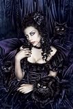 Victoria Frances (Cat) Art Poster Print - 24