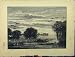 View River Surinam Dutch Guiana C1850 Pelicans Flying
