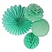 SUNBEAUTY Mint Series Mint Green Tissue Paper Pompom Paper Fan Mint Honeycomb Ball and Mint Green Paper Lanterns Pack of 4