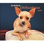 Chihuahuas, For the Love of 2009 Deluxe Wall Calendar (Multilingual Edition)