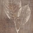 Imprint II vON Lisa Audit, 31x31