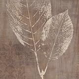 Imprint II vON Lisa Audit, 31x31