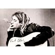 Kurt Cobain - Guitar Tapestry