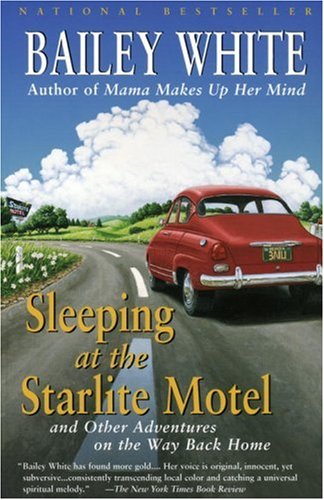 sleeping at the starlite motel and other adventures on the way back home