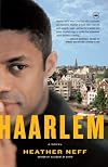 Haarlem: A Novel