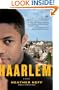 Haarlem: A Novel