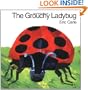 The Grouchy Ladybug