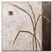 Grass Roots II by Ursula Salemink-Roos Abstract Museum Wrapped Canvas Art Print 18 x 18 in.