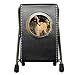 Afghan Hound Pen Holder Desk Clock
