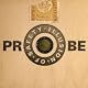 Probe