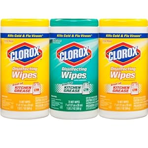 Clorox Disinfecting Wipes Value Pack, Fresh Scent and Citrus Blend, 225 Count