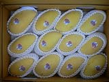 タイ産【タイマンゴー】10～15個入り【父の日ギフト】【お中元ギフト】【暑中見舞い】【父の日】【御中元】【御祝】にどうぞ!!