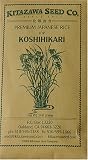 Rice Seeds Japanese Koshihikari