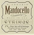 D'Addario J78 Phosphor Bronze Mandocello Strings, 22-74