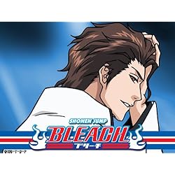 Bleach (English Dubbed) Season 15