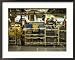 Auto Assembly Line at a Hybrid Car Plant Framed Photographic Poster Print by Eightfish, 16x16