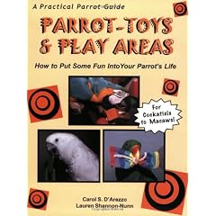 Parrot-Toys and Play Areas : How To Put Some Fun Into Your Parrot's Life