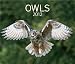 Owls 2012 (Wall Calendar)